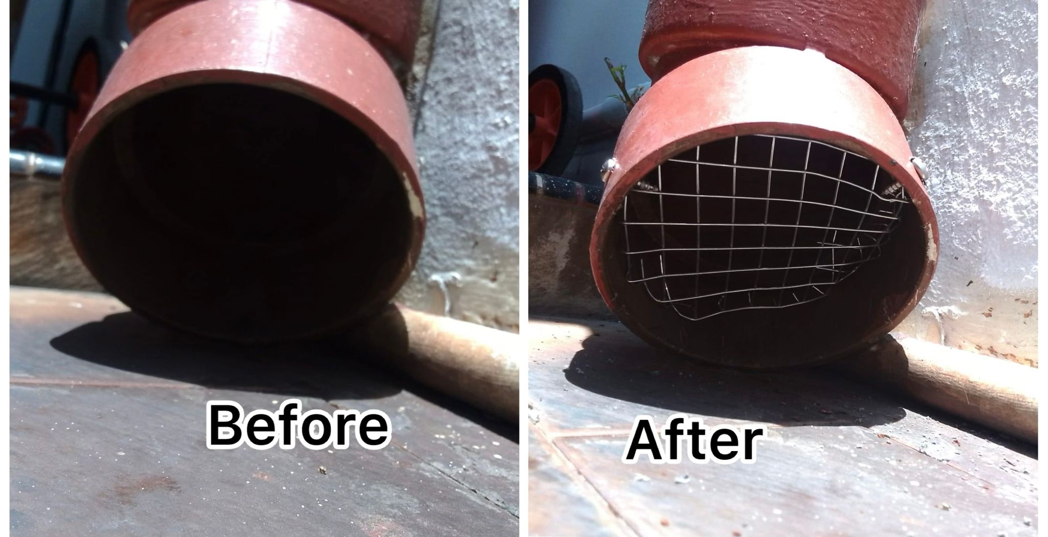 Bird Proofing Pipe Service in Singapore – Prevent Birds, Pests & Blockages